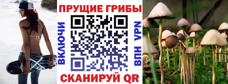продажа наркотиков Бор Псилоцибиновые грибы MAGIC MUSHROOMS